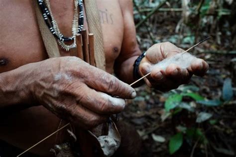 Zarabatana: Uma Alegoria Tropical Sobre Coragem e União!